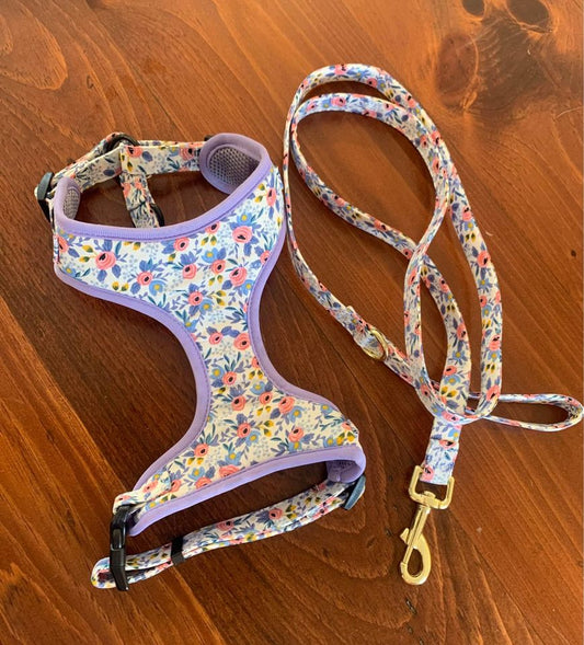 Cute Floral Pattern Girl Dog Harness and Leash Set