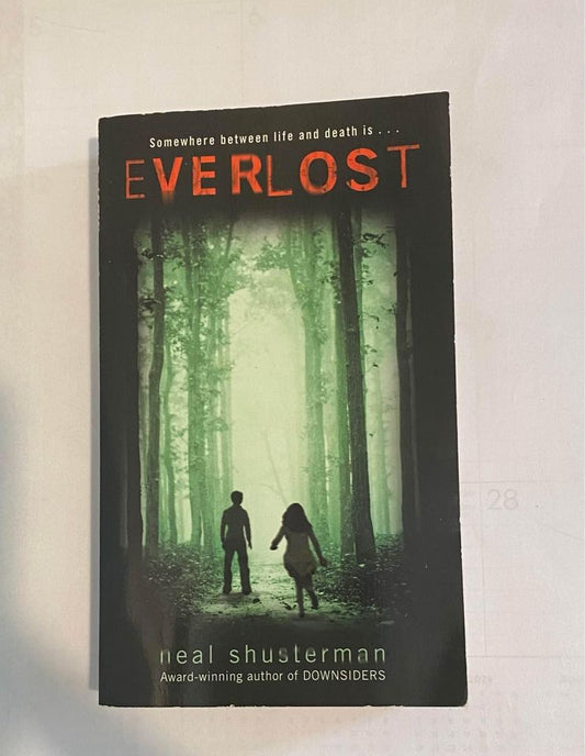 Everlost by Neal Shusterman